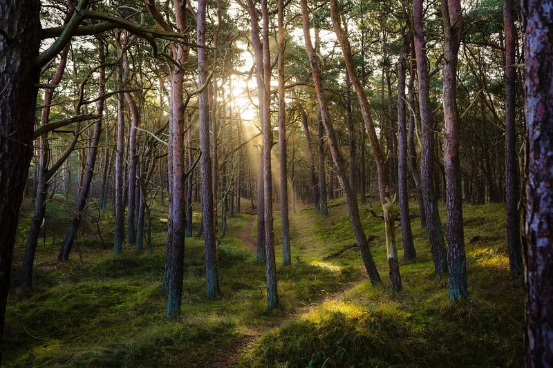 Fontainebleau, France
